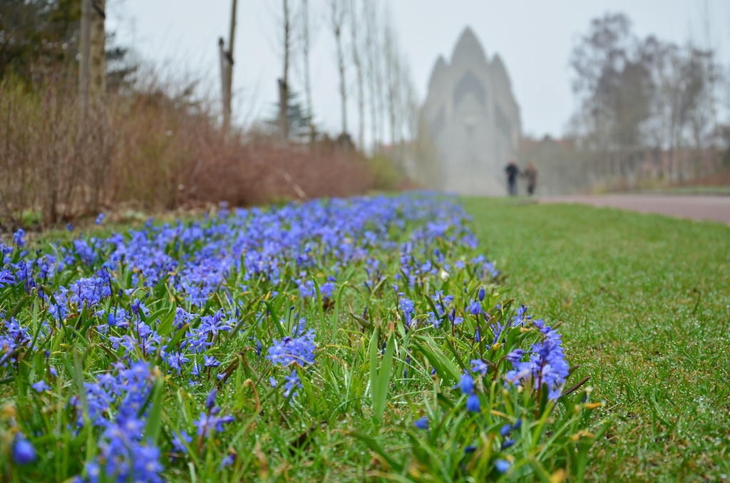 2018-04-14 Copenhagen/Utterslev Mose/DSC_0102.JPG